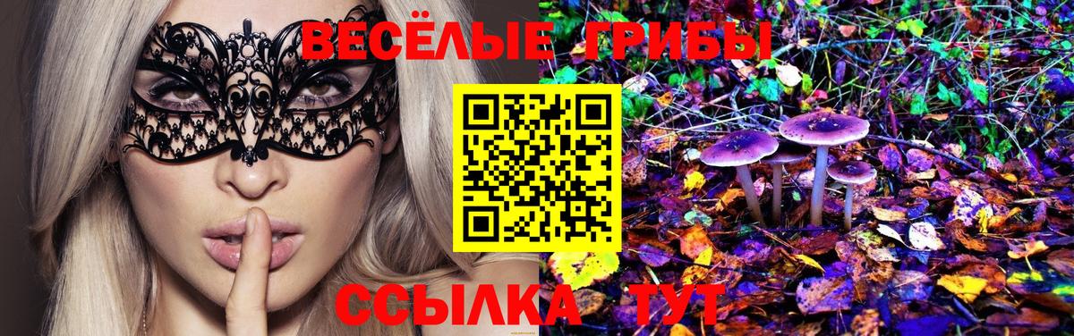 Псилоцибиновые грибы Psilocybine cubensis  Вход с VPN  Клин  Галлюциногенные грибы мухоморы 