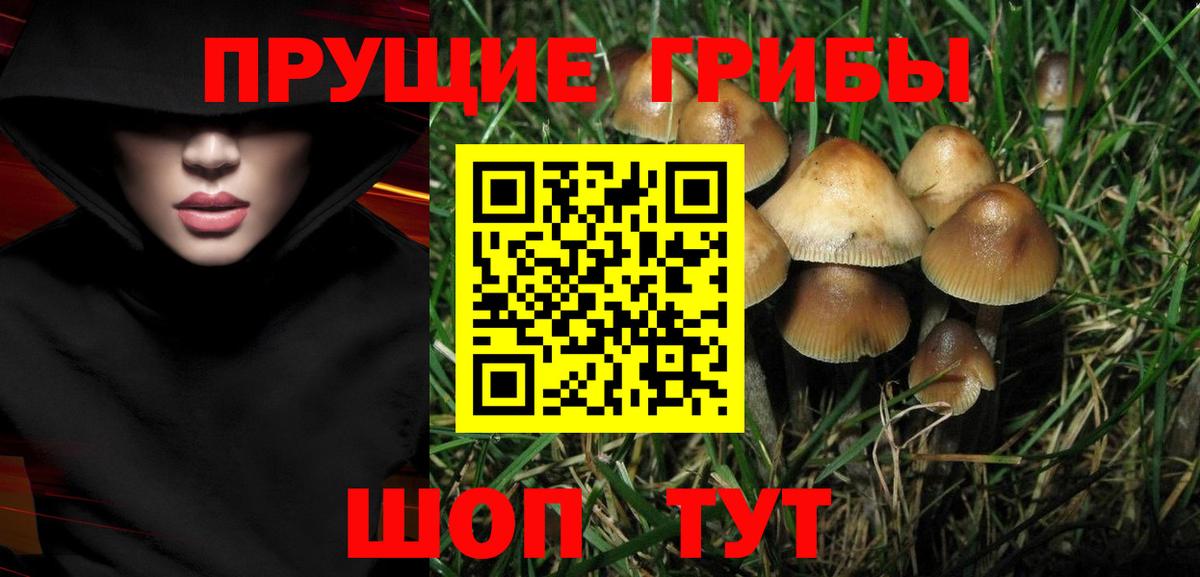 Псилоцибиновые грибы MAGIC MUSHROOMS Клин